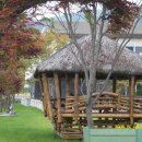 동준농장2 이미지