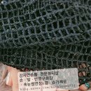 강자안손톱 이미지
