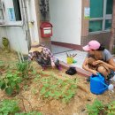 선우정경로당 이미지