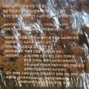 주식회사 태평소금(공장) | 2025 여름 해양 현장 체험 ~~~ 1