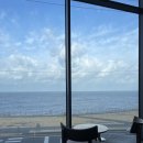 배나무한의원 | 대학 친구들과 4년 만에 함께한 제주도 여행 후기