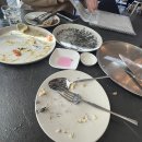 양식당 티스토리