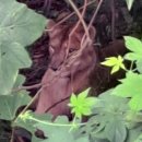 수색목장 이미지