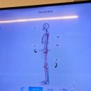터닝핏 | 당산 운동, 국회의사당 운동 추천 :: 전문적 원더핏