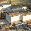 숲을향한시선 이미지