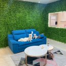 주인아 까까사줘 이미지