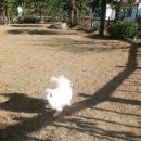 어우름스파애견펜션 이미지