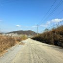 대지 행정사사무소 이미지