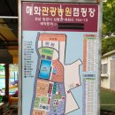 매화관광농원캠핑장 이미지