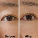 비앤미누보반영구학원 | 강남구청속눈썹펌 추천 누보드누보 강남본점 후기 (속눈썹복구펌 가능)