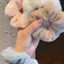 피케이소프트 이미지