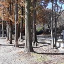 벌곡낚시터 이미지