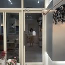 어센티드 | 도룡동 미용실 어센티드(Ascented) 내돈내산 후기