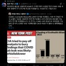 USAID 처리, 머스크로부터 시작된 혁명의 신호탄 ㅡ 우리나라 언론과정치인의 의원내각제 주장과 개신교(세이브코리아)도 의심됨 이미지