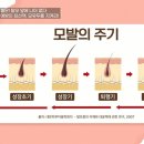 모더함의원 이미지