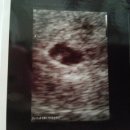 (주)참도담 이미지