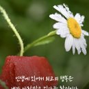 8월 11일 (일자로 쓰는 삼행시) 이미지