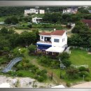 고양이 별 이미지