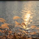 달리자병원 이미지