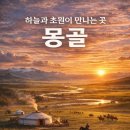 유유 카카오 검색결과
