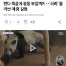 푸바오가 최근 커뮤에서 핫해진 과정 이미지