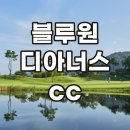 주식회사 블루원 이미지