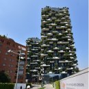 포레스트빌딩 이미지