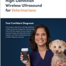 Clarius High-Definition Wireless Ultrasound for Veterinarians 이미지