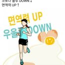 영인원예 이미지