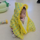 베이비쎈타 | 수영구육아종합지원센터 비츠베이비 놀이터 후기｜8개월 아기와 '어떤 소리일까? 쉿!' 수업🎵