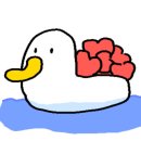 위시 풀빌라펜션 이미지