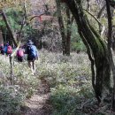 한라산둘레길 돌오름길 이미지