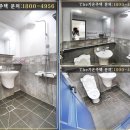 행운하우스 티스토리