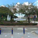 초지경로식당 | 예산 여행 :) 예당호 모노레일 주말 후기 🚃 / 예당호 출렁다리 🗼