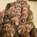 동물들의세상 이미지