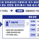 강우