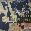산야초한방백숙 이미지