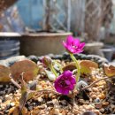 테라행정사사무소 이미지