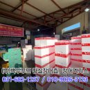 황실장어 이미지