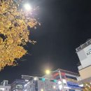 하삼동커피충주기업도시점