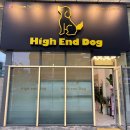 하이엔드독