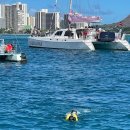 주식회사 거북이정보통신 이미지