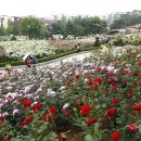 부천로354번길 이미지