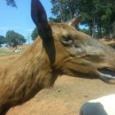 (주)에버파인 이미지