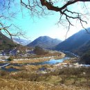 구담마을: 봄 매화꽃과 섬진강 풍경 이미지