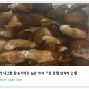 성실농장 이미지