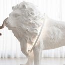 (주)게이즈 이미지