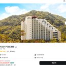 골프존파크 진부오대산점 | 5월 여행 추천 | 연휴 여행 추천 | 강원 정선 파크로쉬 리조트앤웰니스 내돈내산 후기