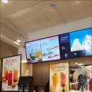 가토프레소 - 95512 | 가토프레소