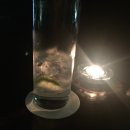 알렉스네스트